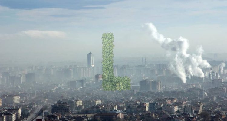Dampak negatif polusi