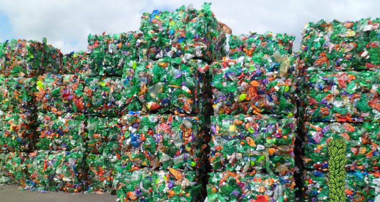 Tips Daur Ulang Sampah Plastik