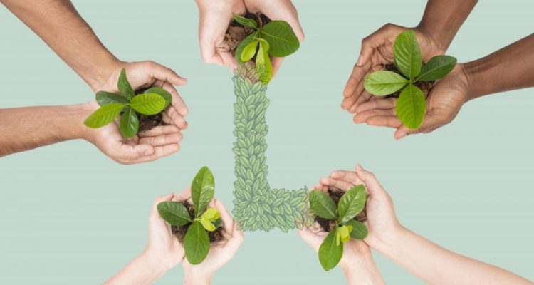 jenis kegiatan go green