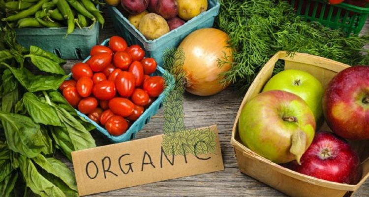 sayur organik rumahan