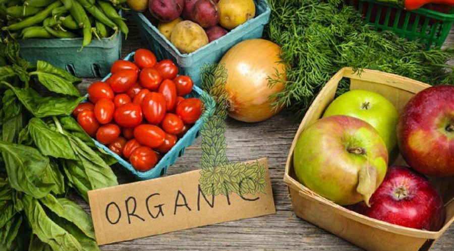 sayur organik rumahan